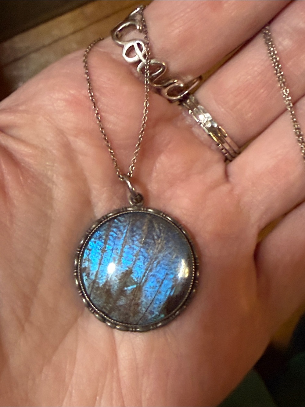 Antique Sterling Silver Morpho Butterfly Wing Round Pendant Necklace